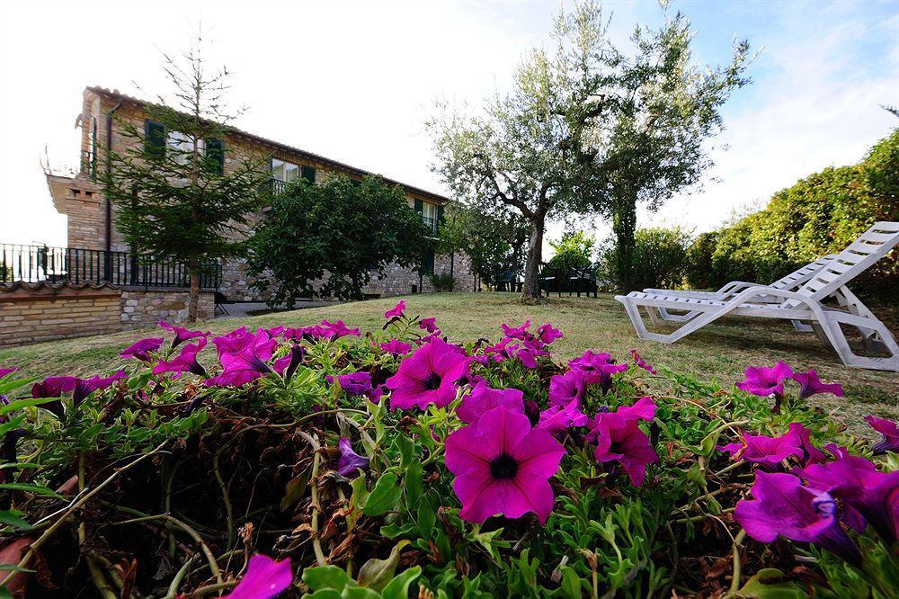 Colle Degli Olivi Snc Guest House Assisi Exterior foto